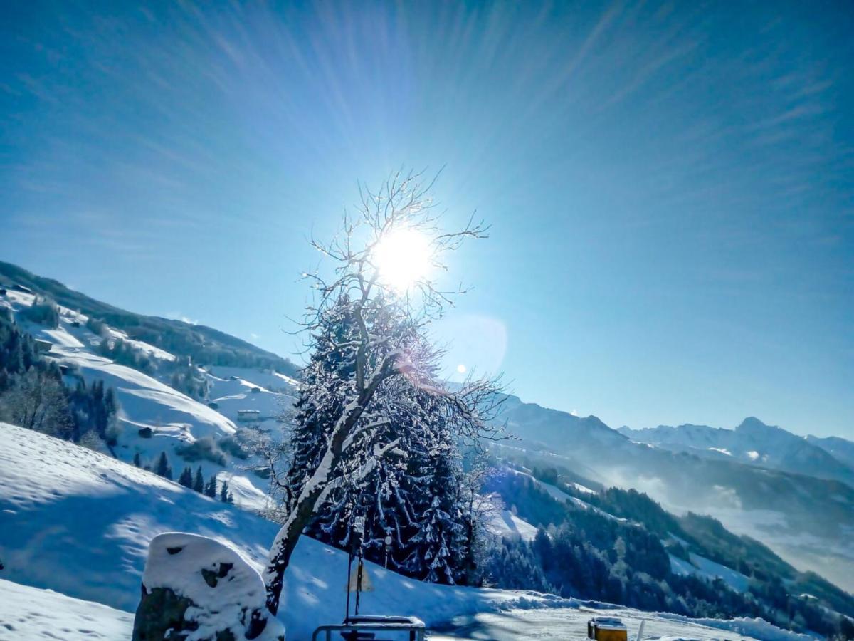 Apartment Wildbachl Aschau Im Zillertal Exterior foto